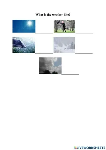 What is the weather like?