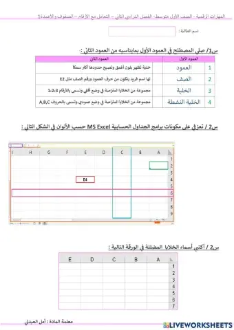 المهارات الرقمية - الصفوف والاعمدة