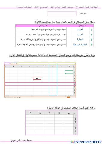 المهارات الرقمية - الصفوف والاعمدة