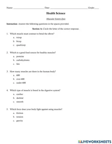 Muscular System Quiz