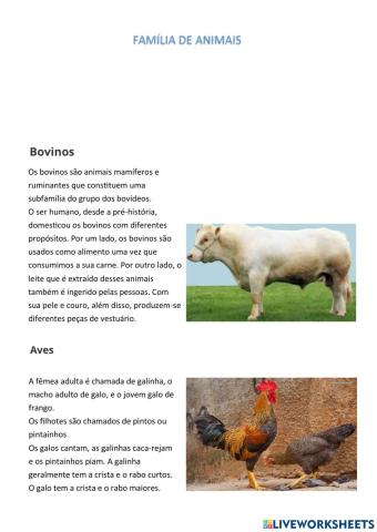Família de Animais
