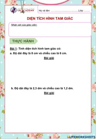 Toán 5 - Diện tích hình tam giác