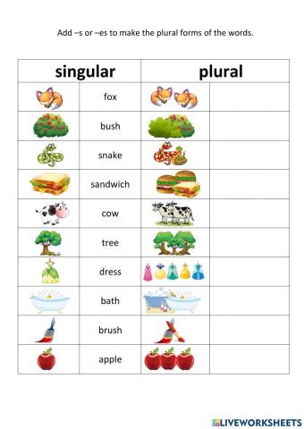 Singluar and Plural