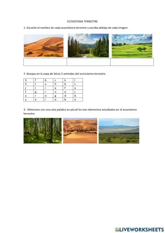 Bosque, Pradera, Desierto