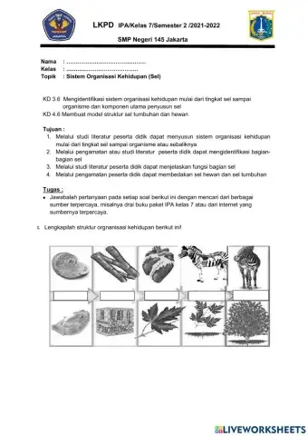 Lkpd sistem organisasi
