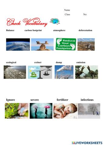 Vocabulary Unit 7 English 8