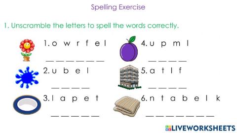 Spelling Exercise