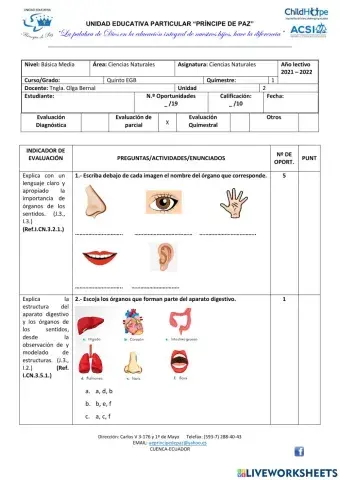 Prueba Ciencias Naturales
