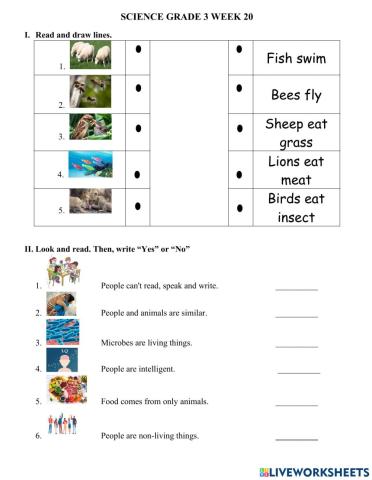 Science Grade Week 20