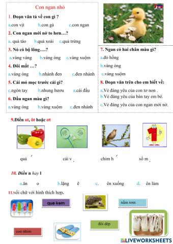 Tiếng việt con ngan nhỏ