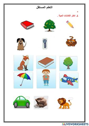 الكائنات الحية