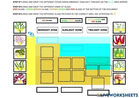Kind of algae and ocean areas