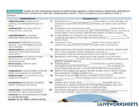 Penguins Vocabulary