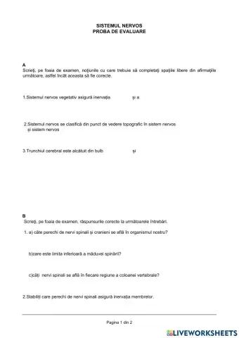 Maduva spinarii.Nervii spinali