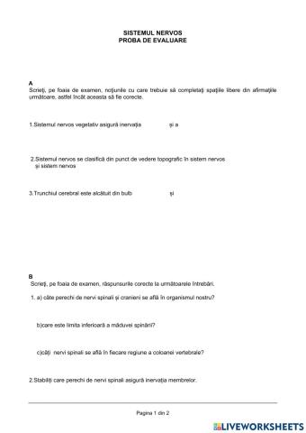 Maduva spinarii.Nervii spinali