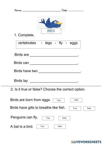 Birds Quiz2