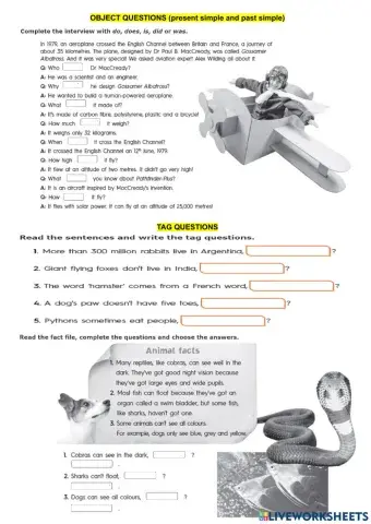 Questions (present simple & past simple) and tag questions