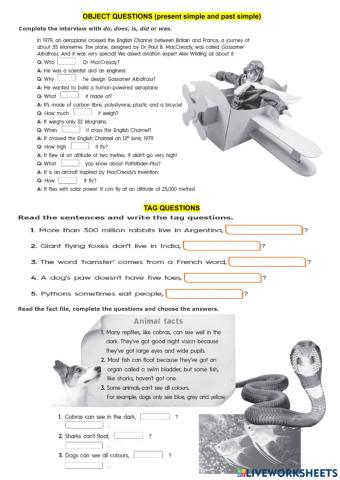 Questions (present simple & past simple) and tag questions