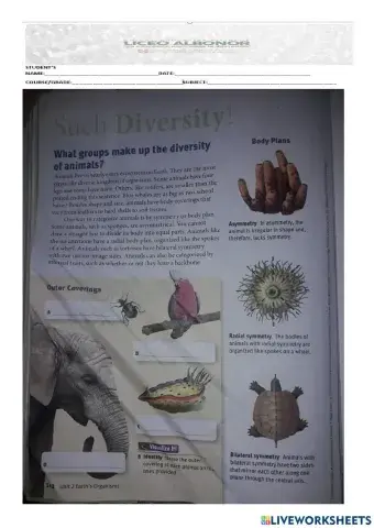 Characteristics that animals share