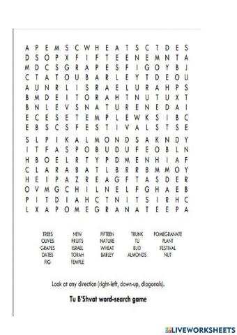 Tu B'Shvat Word Search