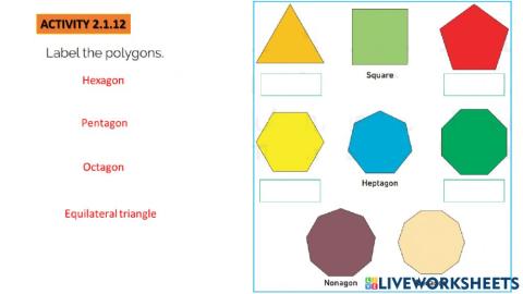 Polygons g10