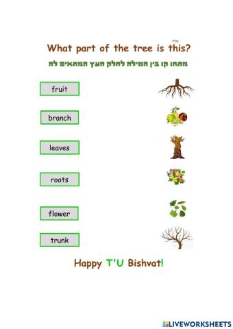 Tu Bishvat