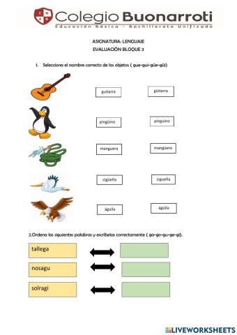 Evalaución BLOQUE 3
