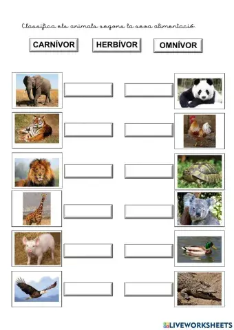 Animals carnívors, herbívors i omnívors