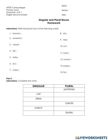 Singular and plural nouns homework