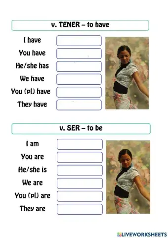 Verbos TENER y SER