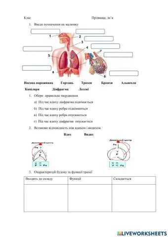 Дихальна система
