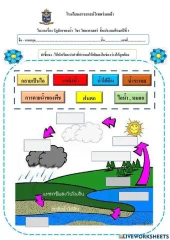 วัฏจักรของน้ำ