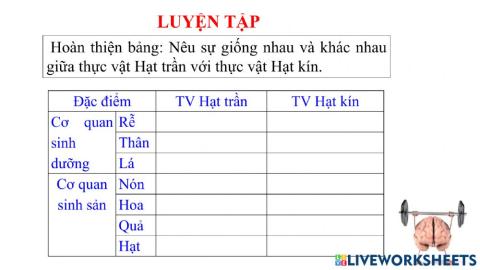 Điền vào ô trống