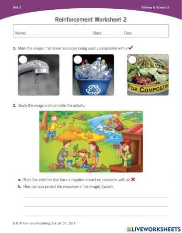 Reinforcement worksheet