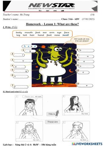 3A6-Lesson 1-What are these?