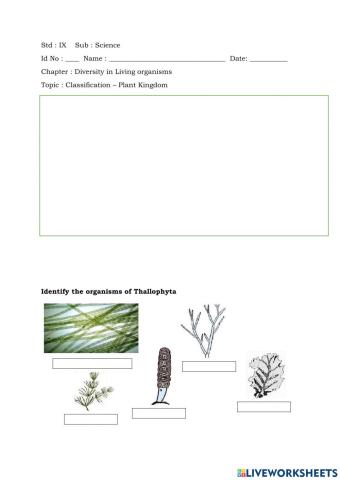 Diversity in Living Organisms LW2