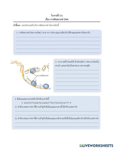 ใบงาน 5.3 การสังเคราะห์ dna