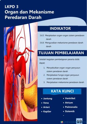 LKPD 3 Organ dan Mekanisme Peredaran Darah