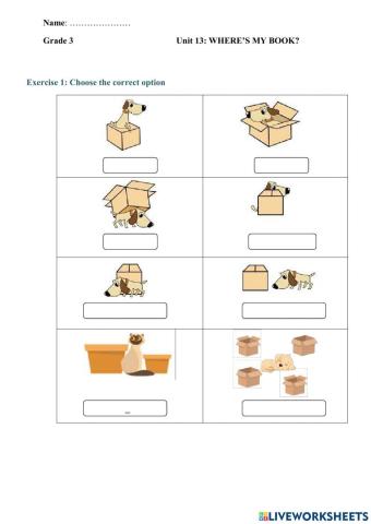 Position preposition