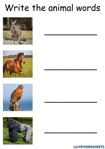 Write the animal words