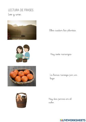 LECTURA COMPRENSIVA DE FRASES