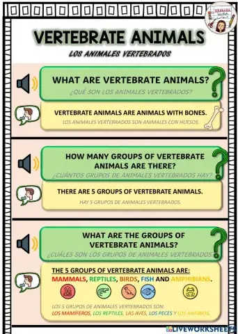 Introduction vertebrate animals