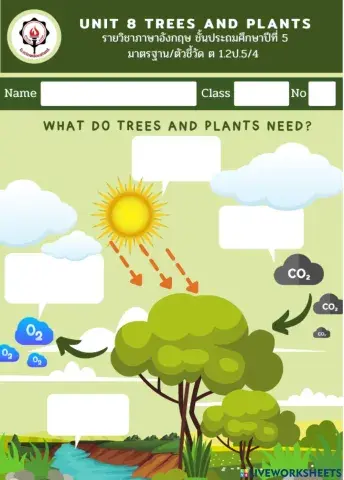 What do trees and plants need?