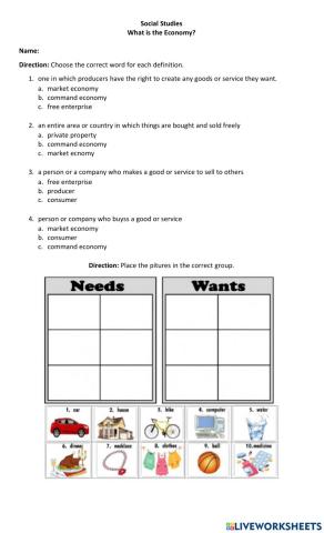 What is the economy?