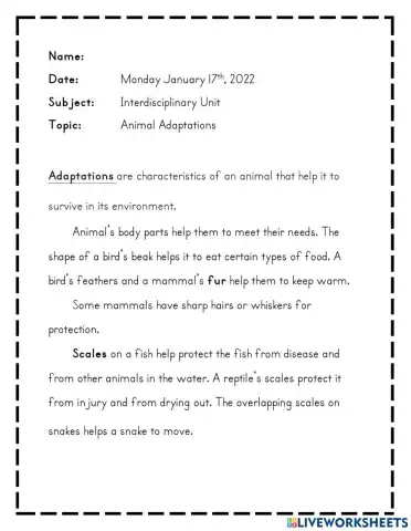 Animal Adaptations Notes