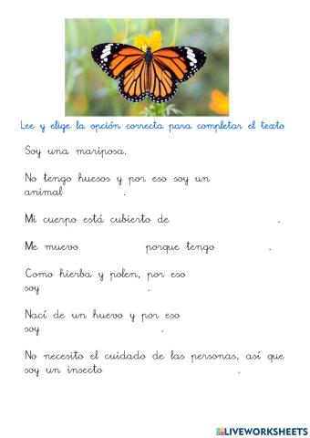 Descripción de un invertebrado: La mariposa