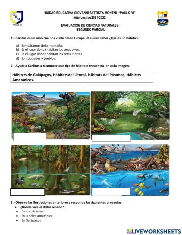 Evaluación ii parcial