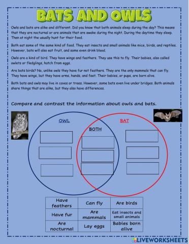 Compare and Contrast