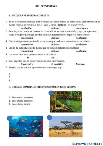 Los ecosistemas