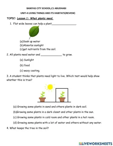 What plants need -review